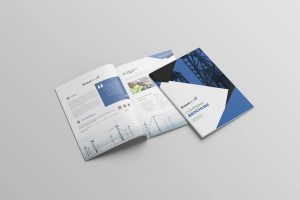 Buqueland, dossier corporativo