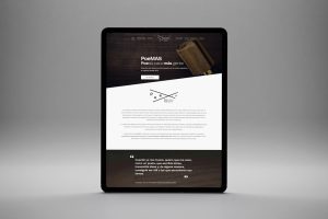 UNED – Web proyecto PoeMAS.