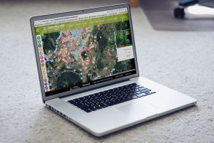 Parques e Xardíns – Concello de Santiago de Compostela. (Ferrovial)