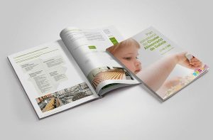 Cluster Alimentario de Galicia – Plán Estratégico 2016-2020